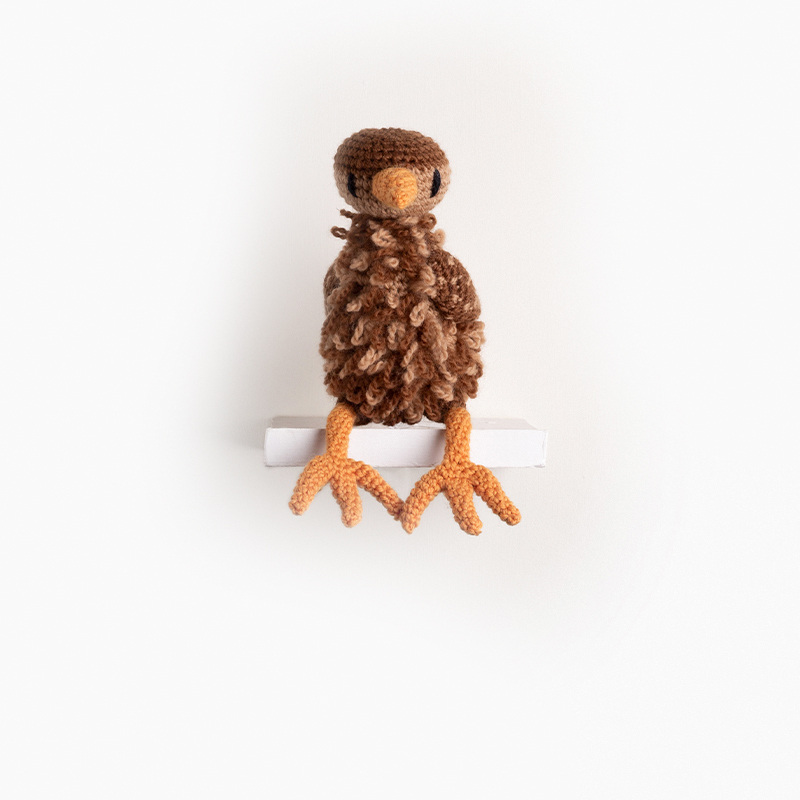 Jenny the Wren